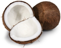 Coconut (Mature)